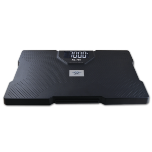 My Weigh XL-700 Scale